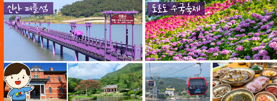 진도신안