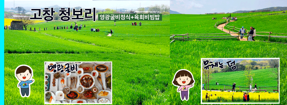 고창 청보리